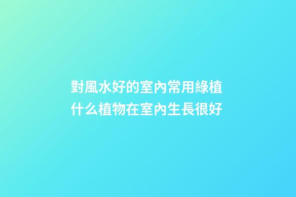 對風水好的室內常用綠植 什么植物在室內生長很好